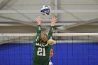 Volleyball vs Babson  Wheaton Women's Volleyball vs Babson College. - Photo by Keith Nordstrom : Wheaton, Volleyball, VB